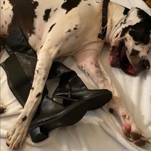 Knee Boots like new🐕